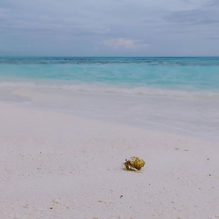 Bougan Villea Retreat Bodufolhudhoo Zewnętrze zdjęcie