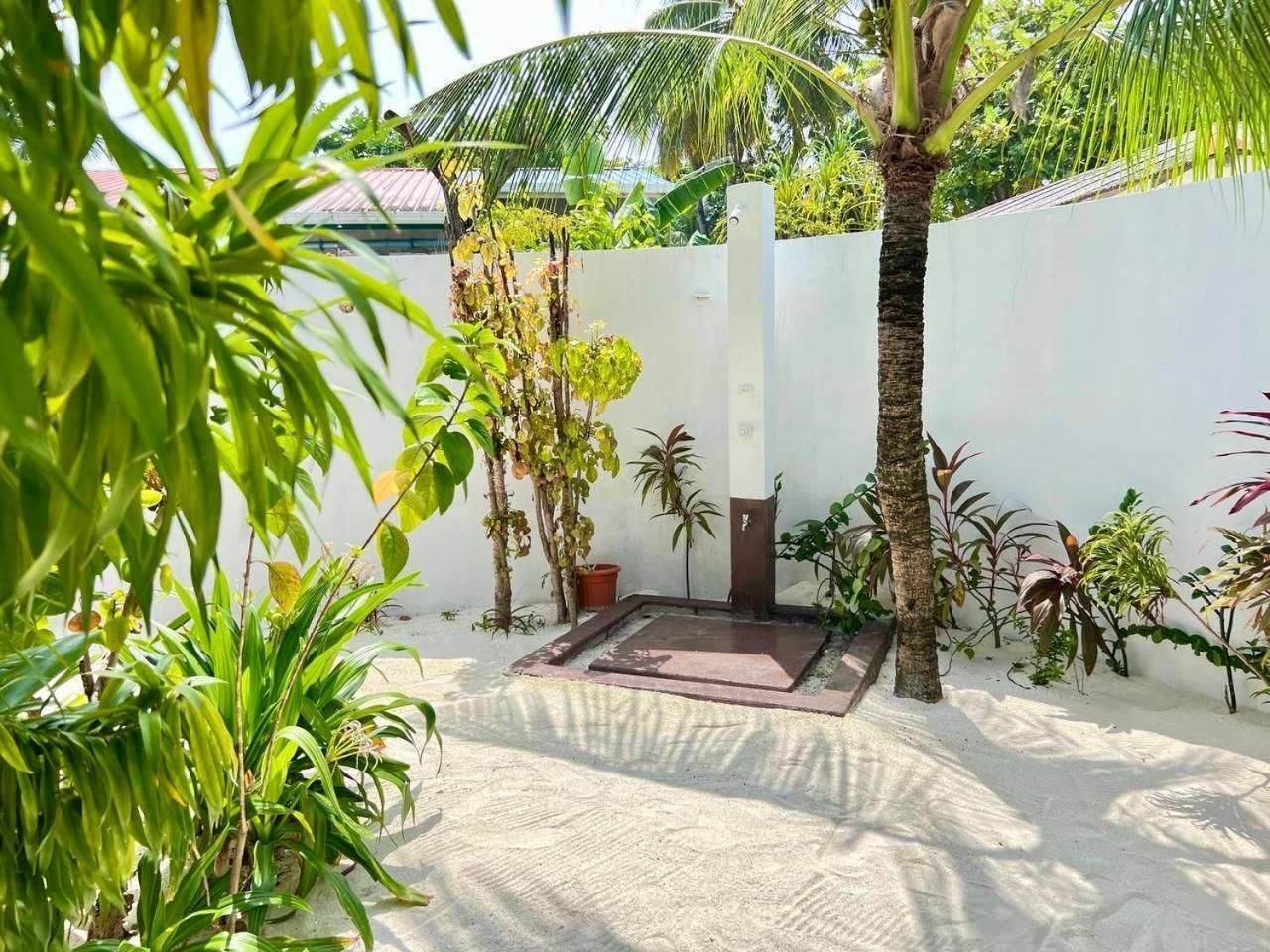 Bougan Villea Retreat Bodufolhudhoo Zewnętrze zdjęcie