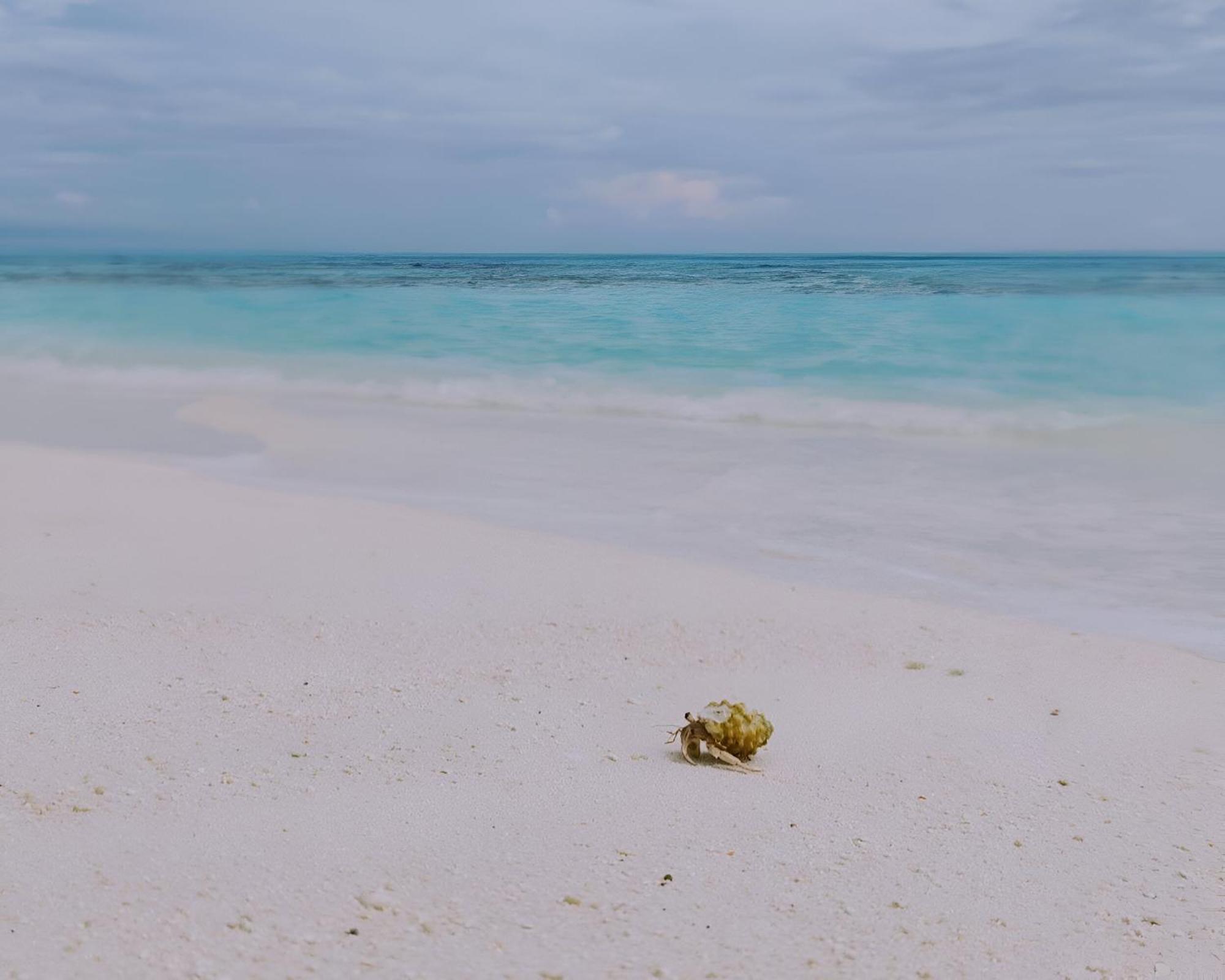 Bougan Villea Retreat Bodufolhudhoo Zewnętrze zdjęcie
