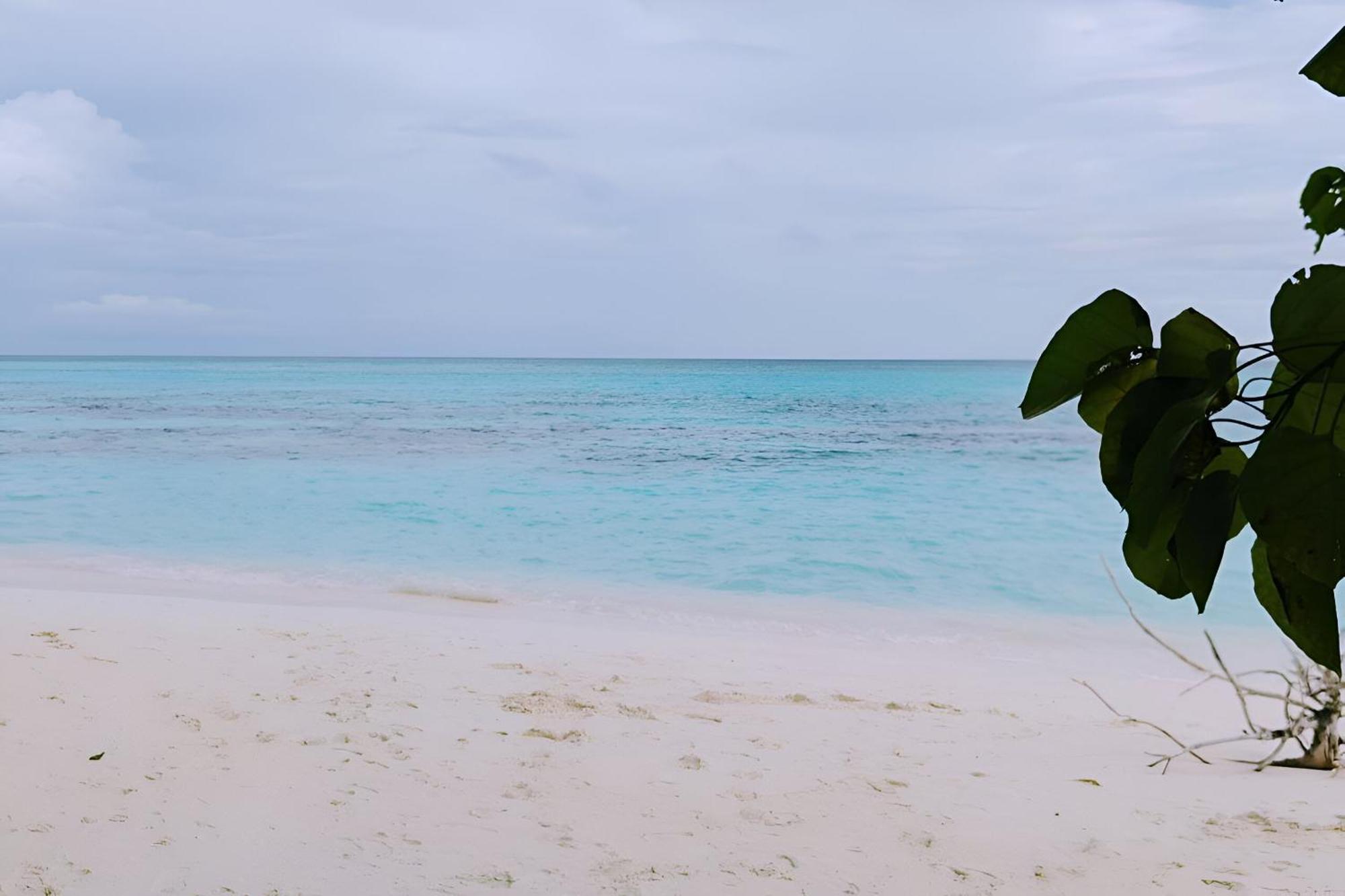 Bougan Villea Retreat Bodufolhudhoo Zewnętrze zdjęcie